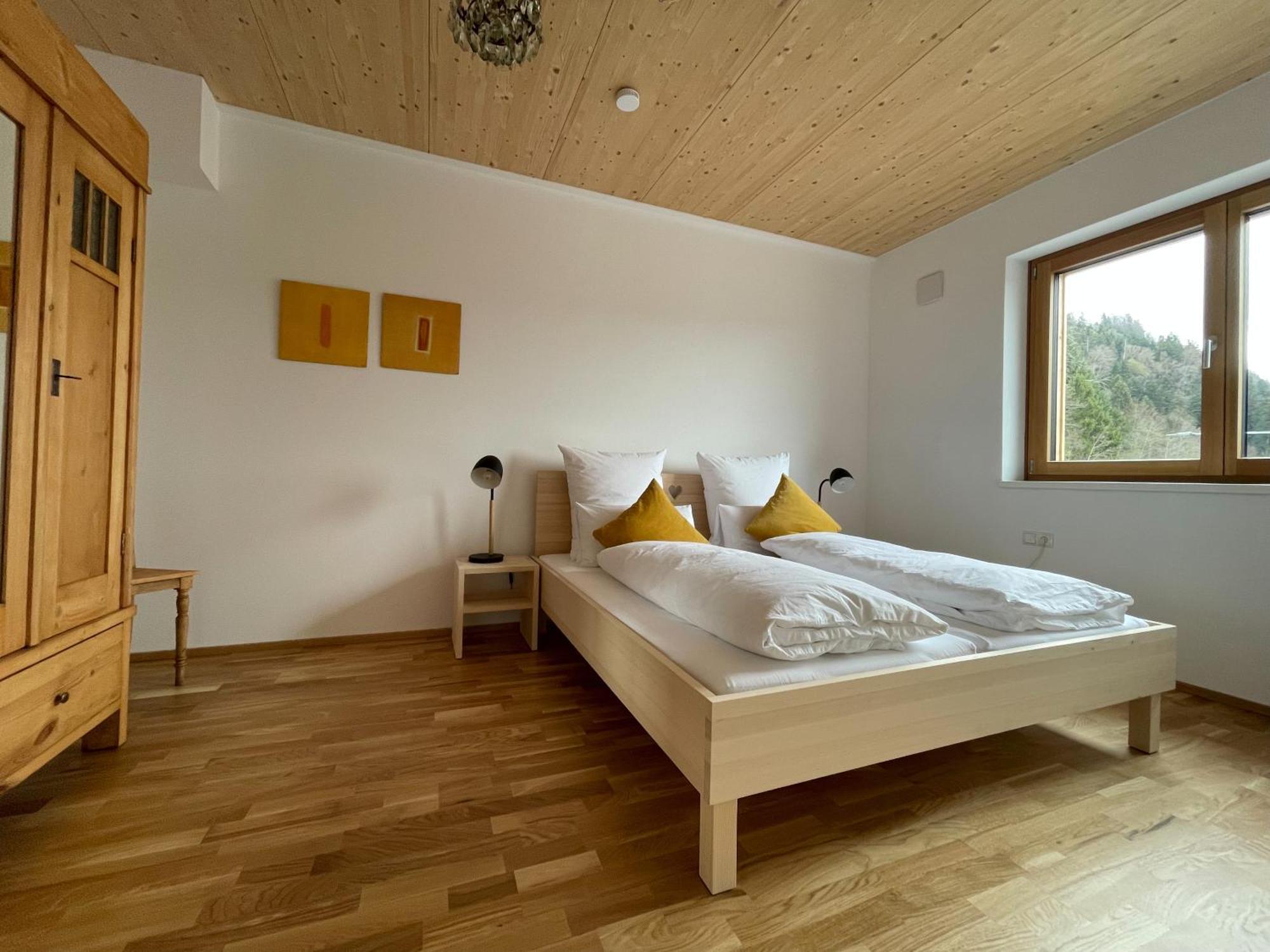 Gamsfels Josephine Galeriewohnung Langen Bei Bregenz 外观 照片